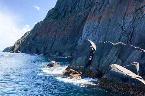 Southern Ocean Adventure From Victor Harbor - Holiday Cairns 3