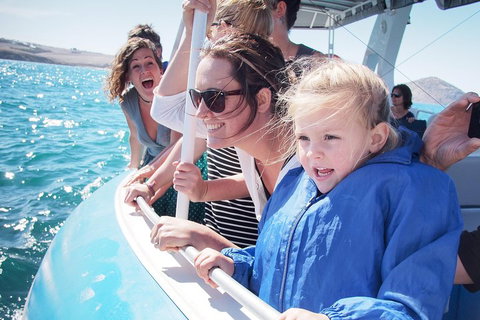 Southern Ocean Adventure From Victor Harbor - Holiday Cairns 4