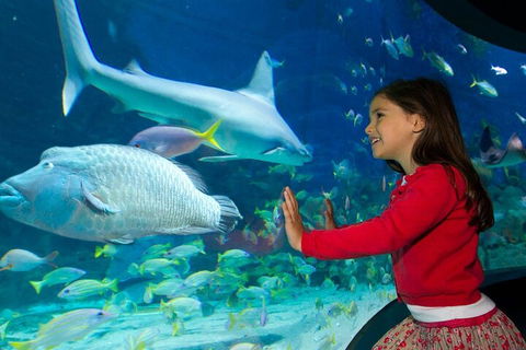 Melbourne BIG Ticket - LEGOLAND Discovery And SEA LIFE Melbourne - Holiday Cairns 1