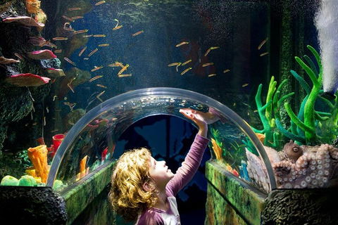 Melbourne BIG Ticket - LEGOLAND Discovery And SEA LIFE Melbourne - Holiday Cairns 2