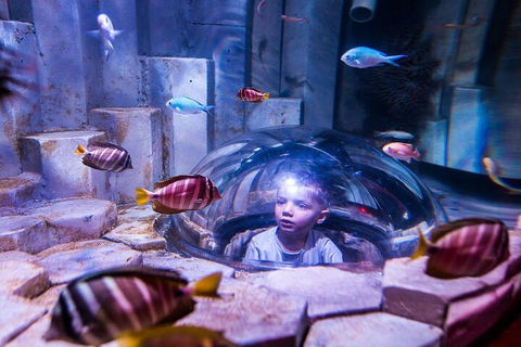 Melbourne BIG Ticket - LEGOLAND Discovery And SEA LIFE Melbourne - Holiday Cairns 5