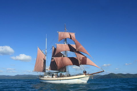 Sydney Harbour Tall Ship Whale & Sail - Whale Watching Cruise - Holiday Cairns 1