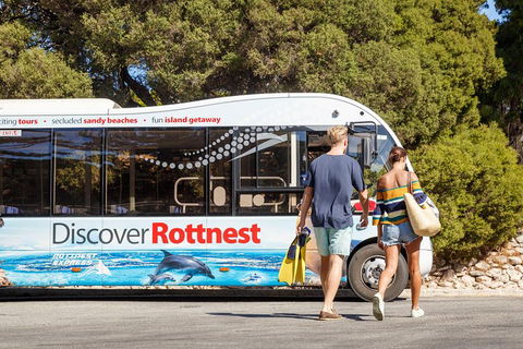 Discover Rottnest With Ferry & Bus Tour From Perth Or Fremantle - Holiday Cairns 1