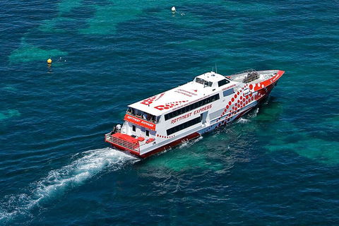 Discover Rottnest With Ferry & Bus Tour From Perth Or Fremantle - Holiday Cairns 3