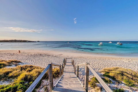 Discover Rottnest With Ferry & Bus Tour From Perth Or Fremantle - Holiday Cairns 4