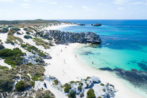 Discover Rottnest With Ferry & Bus Tour From Perth Or Fremantle - Holiday Cairns 5