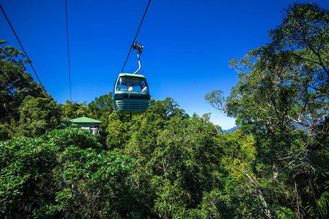 Classic Kuranda By Skyrail And Scenic Railway Including Rainforestation, Koala And Wildlife Park And Pamagirri Aboriginal Experi - Holiday Cairns 0