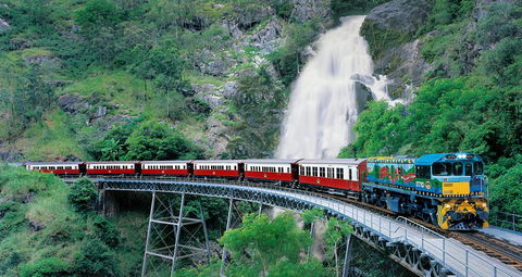 Classic Kuranda By Skyrail And Scenic Railway Including Rainforestation, Koala And Wildlife Park And Pamagirri Aboriginal Experi - Holiday Cairns 1