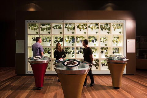 Australian Wine Discovery Tour With Tastings - Holiday Cairns 4