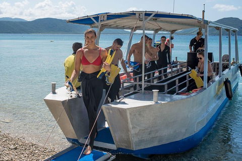 Fitzroy Island Day Trip From Cairns - Holiday Cairns 5