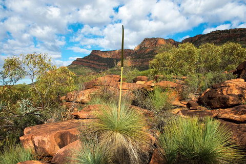 6-Day Eyre Peninsula & Flinders Ranges Adventure Tour - Holiday Cairns 1