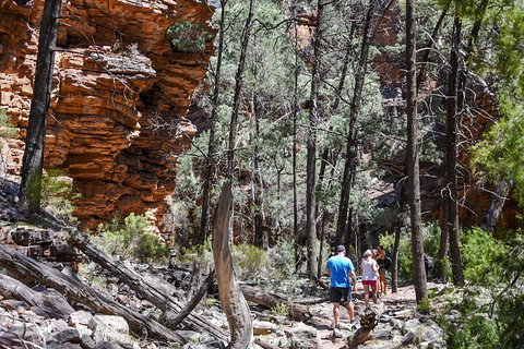 6-Day Eyre Peninsula & Flinders Ranges Adventure Tour - Holiday Cairns 5