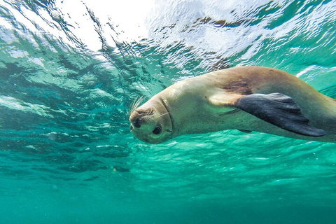 10-Day Adelaide To Perth Adventure Tour - Holiday Cairns 1