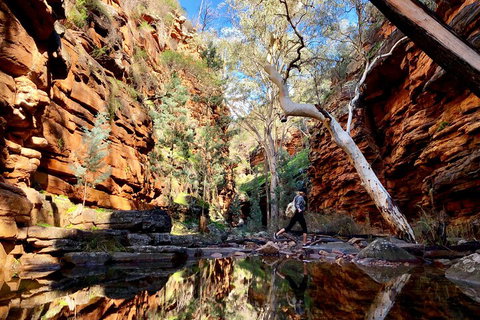 10-Day Adelaide To Perth Adventure Tour - Holiday Cairns 5