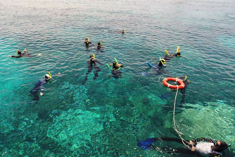 Seastar Luxury Outer Great Barrier Reef Island And Reef Tour From Cairns - Holiday Cairns 2