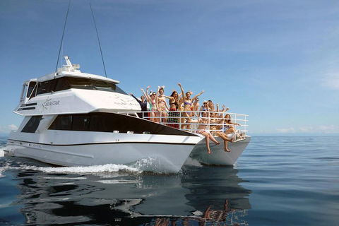Seastar Luxury Outer Great Barrier Reef Island And Reef Tour From Cairns - Holiday Cairns 4