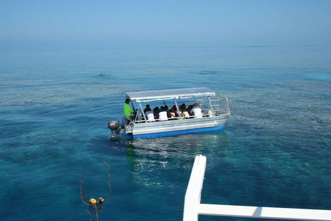 Seastar Luxury Outer Great Barrier Reef Island And Reef Tour From Cairns - Holiday Cairns 5