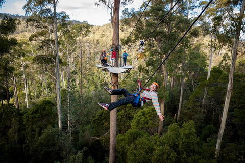 Hollybank Wilderness Adventure - Zipline Tours - Holiday Cairns 0