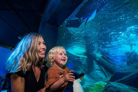 SEA LIFE Sunshine Coast Aquarium Entrance Ticket - Holiday Cairns 0