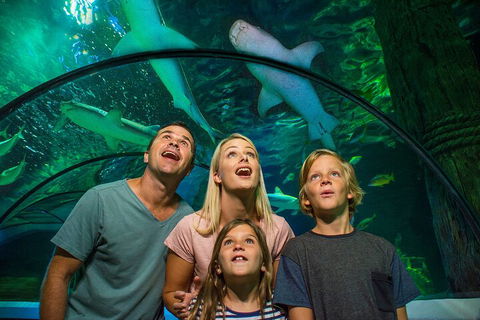 SEA LIFE Sunshine Coast Aquarium Entrance Ticket - Holiday Cairns 3