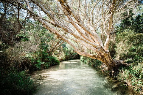 3-Day Fraser Island Resort Package - Holiday Cairns 5
