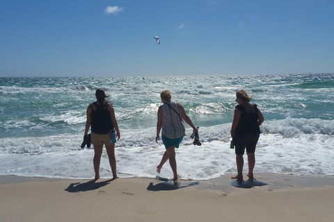 Very Best Of Perth Tour - Wildlife Park & City Highlights Tour - Holiday Cairns 5