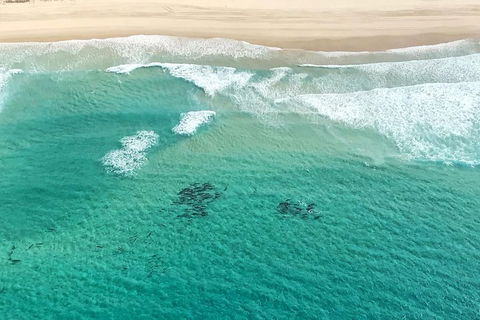 Coastal Helicopter Shared Flight - 20 Minutes - Holiday Cairns 4