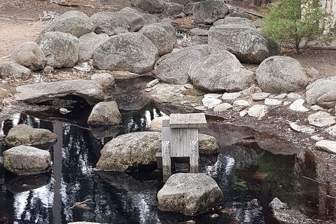 Bendigo, Echuca & The Mighty Murray - Holiday Cairns 1